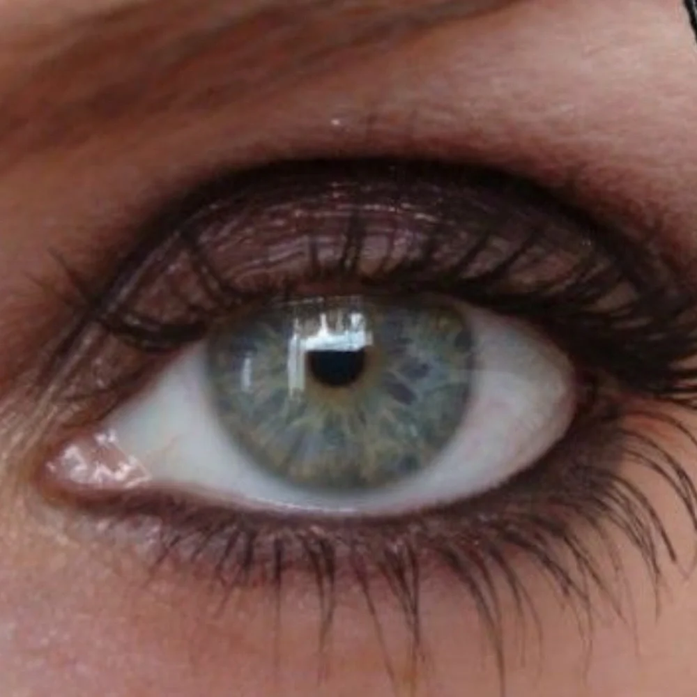 MAC Cosmetics new without